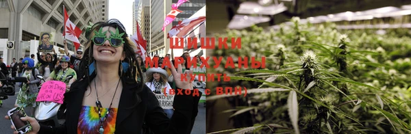 сатива Абдулино