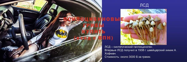 сатива Абдулино