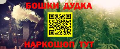 прущие крисы Кингисепп