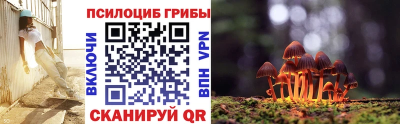 дарнет шоп  Ялуторовск  Галлюциногенные грибы ЛСД 