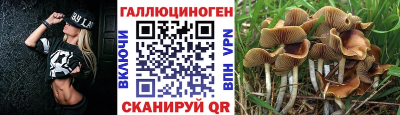 Галлюциногенные грибы MAGIC MUSHROOMS Ялуторовск