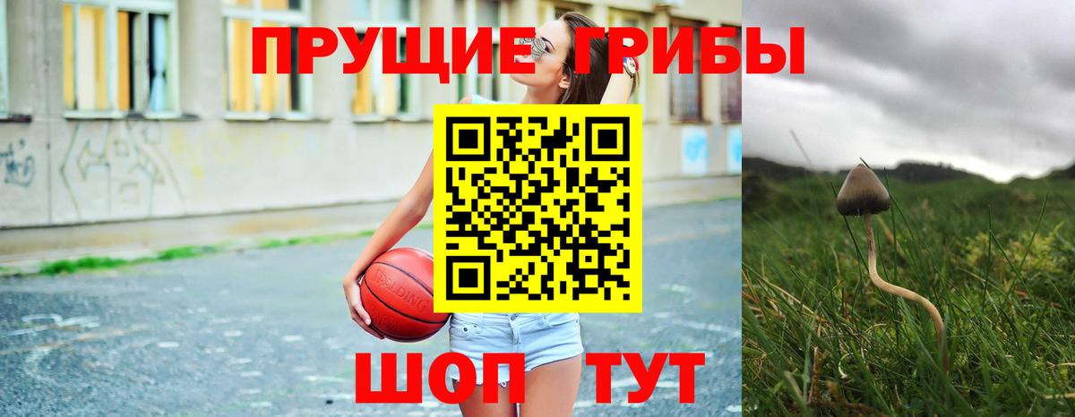 Ялуторовск  Галлюциногенные грибы ЛСД  Вход с VPN 